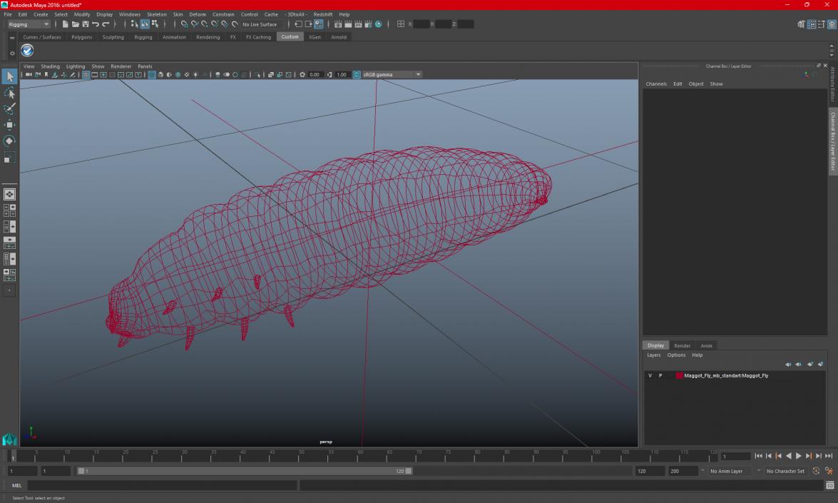 3D model Maggot Fly