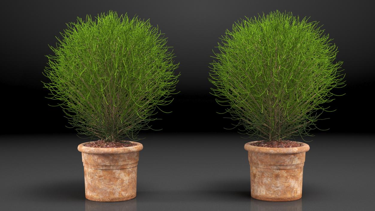 3D Green Spherical Shrub Pot Plant