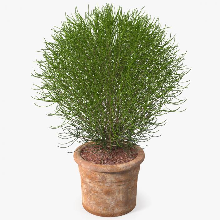 3D Green Spherical Shrub Pot Plant