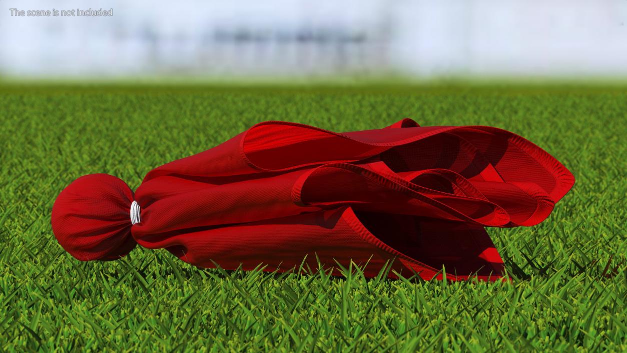 3D Football Penalty Flag