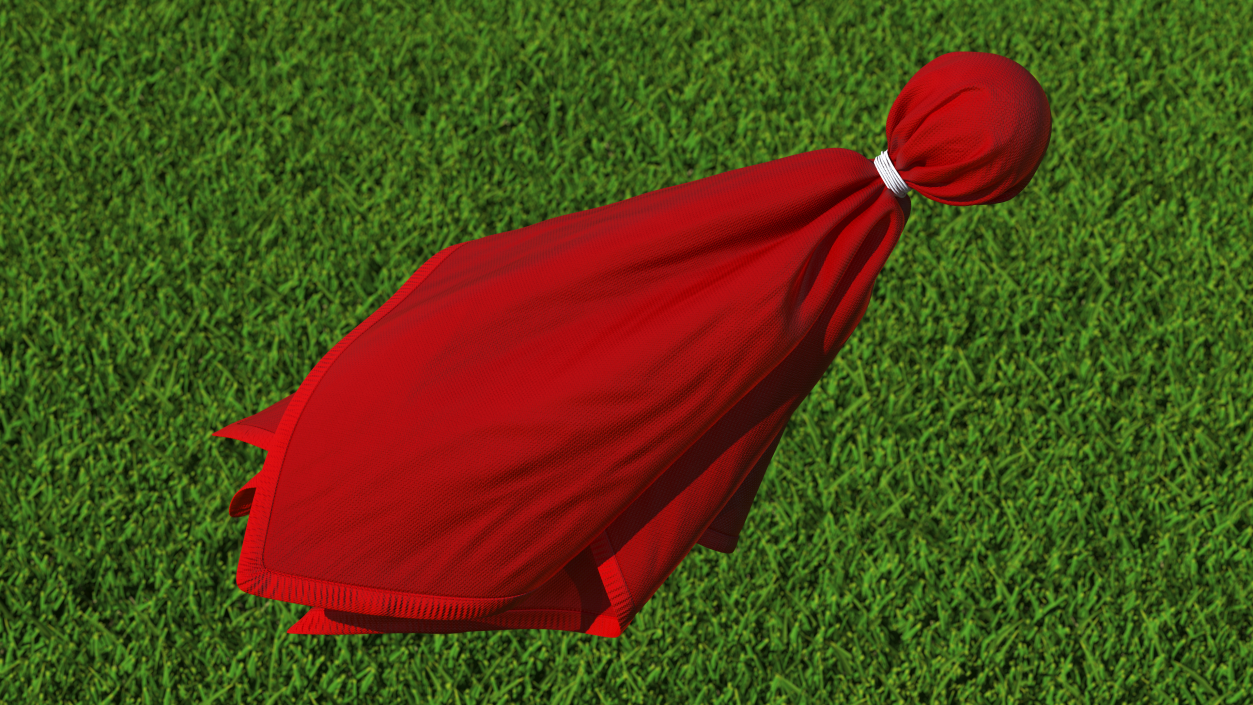 3D Football Penalty Flag