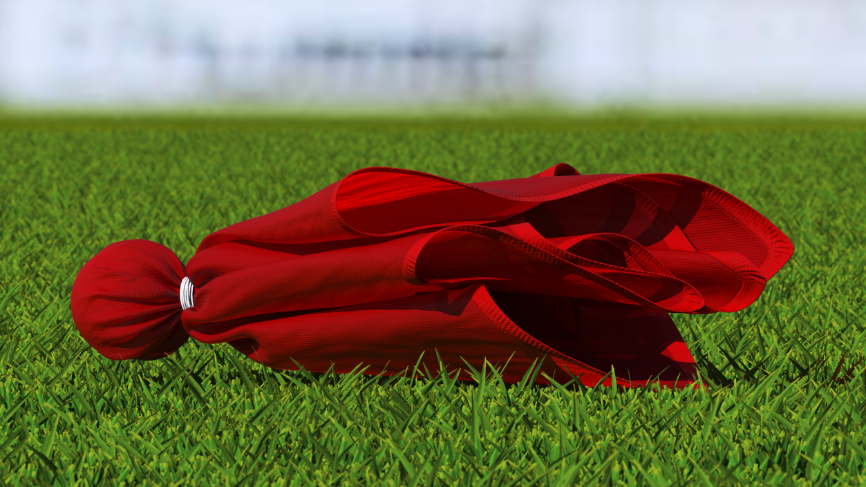 3D Football Penalty Flag