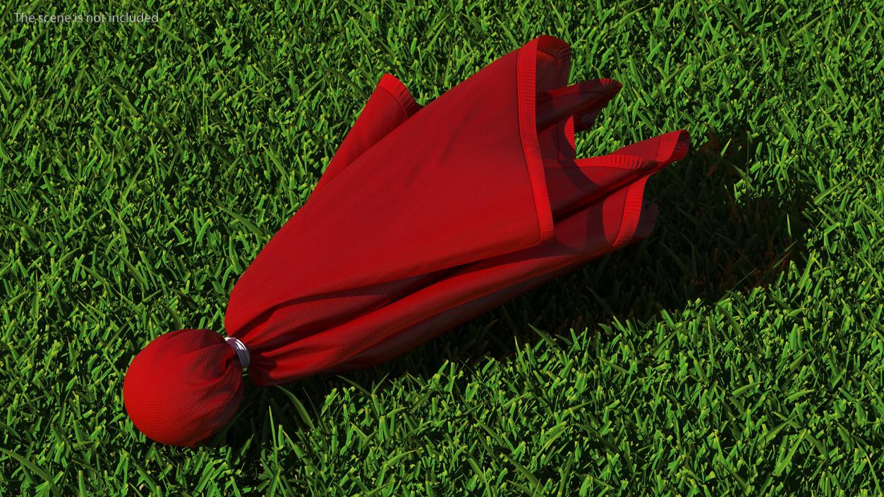 3D Football Penalty Flag