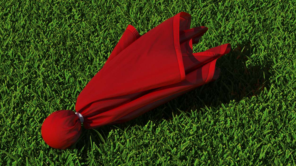 3D Football Penalty Flag