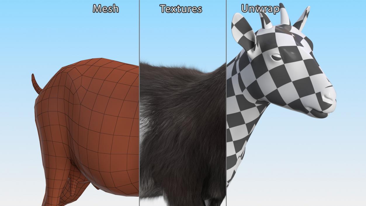 3D Walking Goat Black-White Fur model