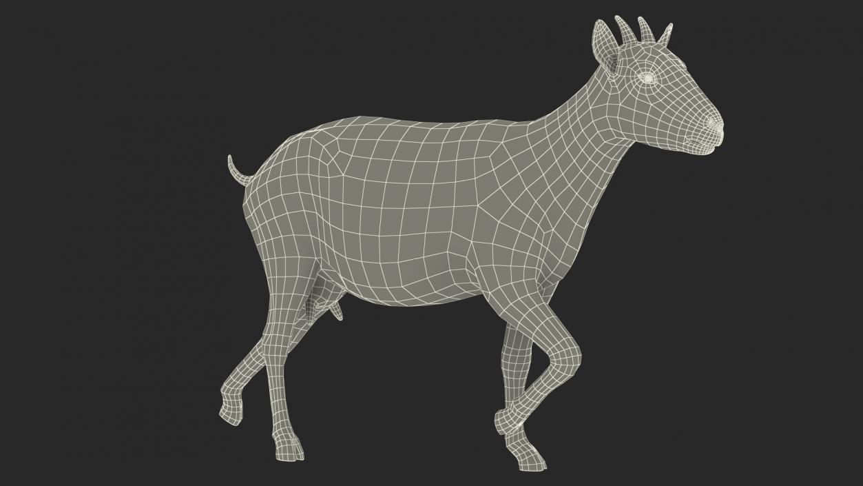 3D Walking Goat Black-White Fur model