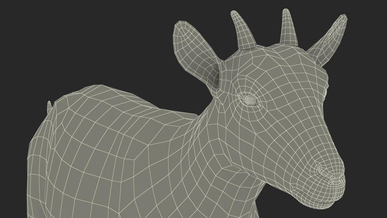 3D Walking Goat Black-White Fur model