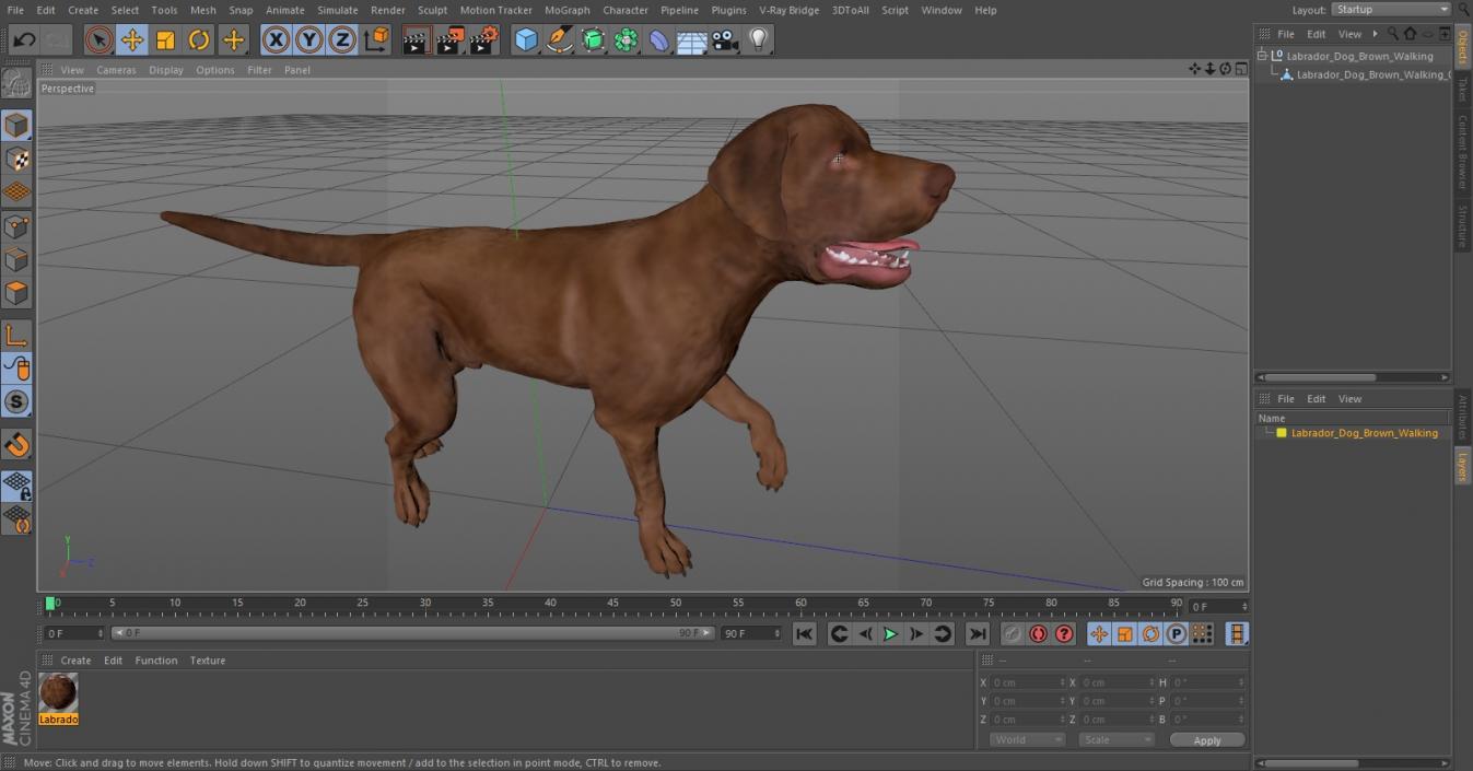 3D Labrador Dog Brown Walking