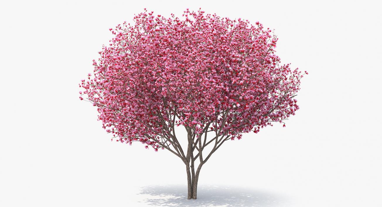 Flowering Bushes and Trees 3D Models Collection 3D