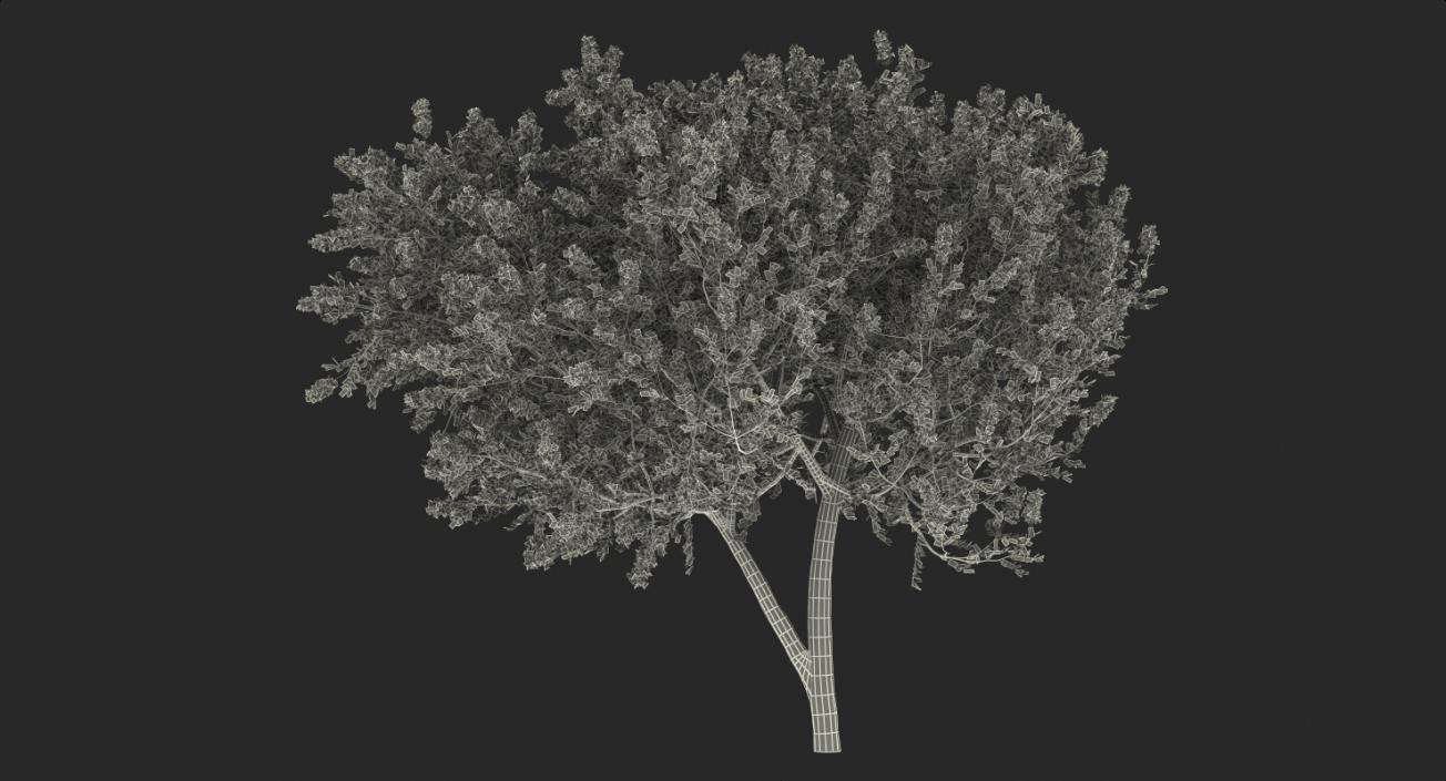 Flowering Bushes and Trees 3D Models Collection 3D