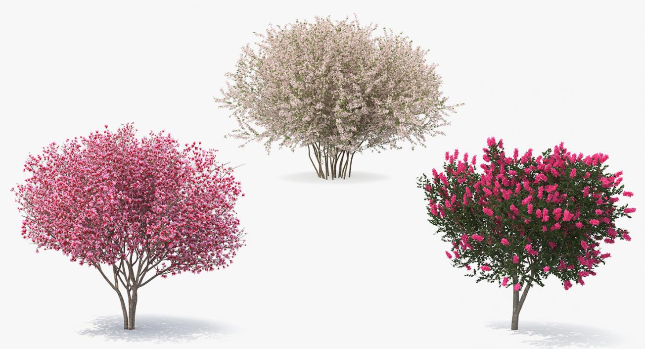 Flowering Bushes and Trees 3D Models Collection 3D