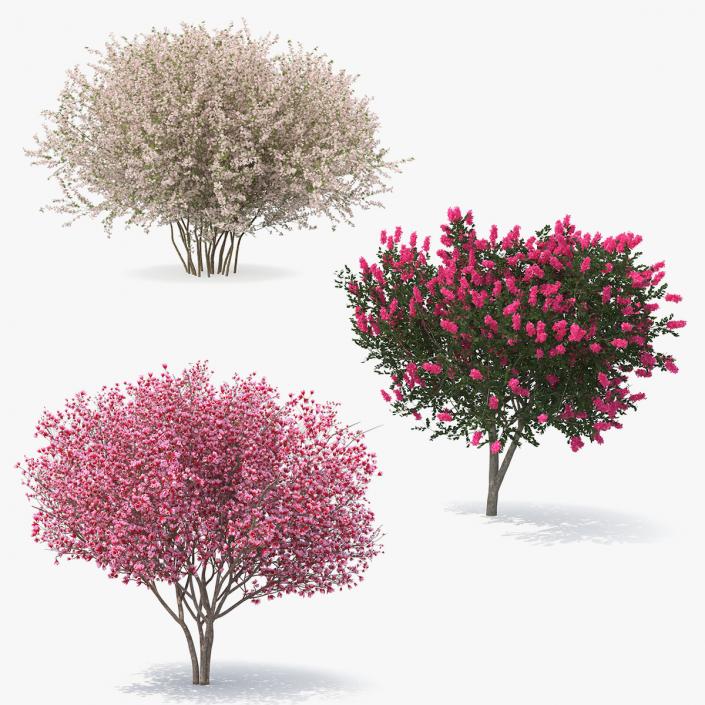 Flowering Bushes and Trees 3D Models Collection 3D