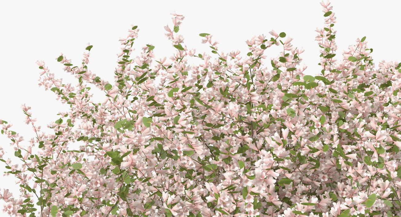 Flowering Bushes and Trees 3D Models Collection 3D