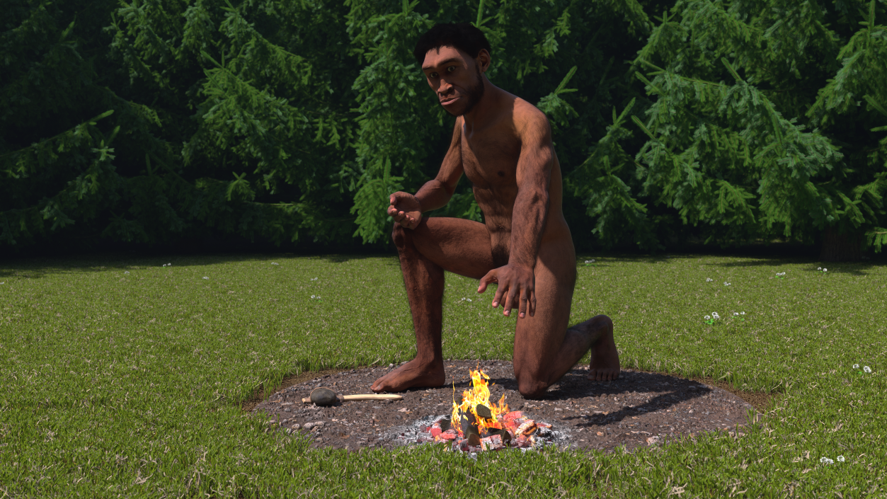 Homo Erectus by Bonfire Fur 3D