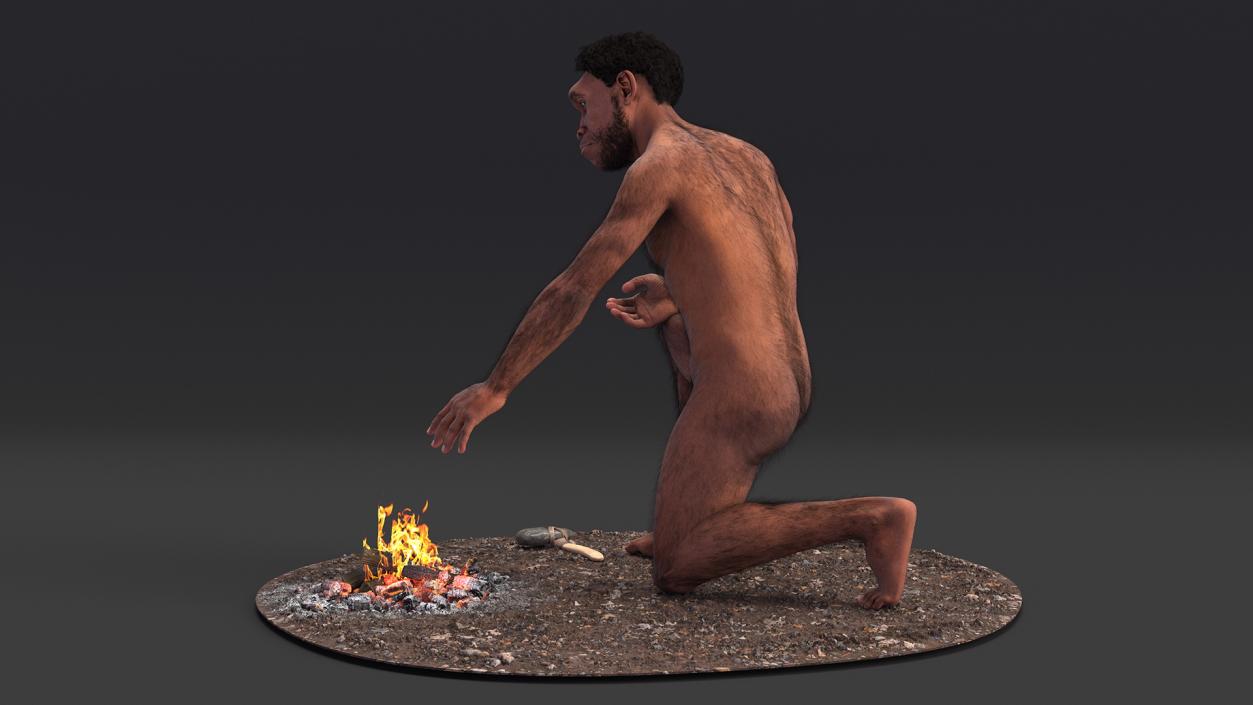 Homo Erectus by Bonfire Fur 3D