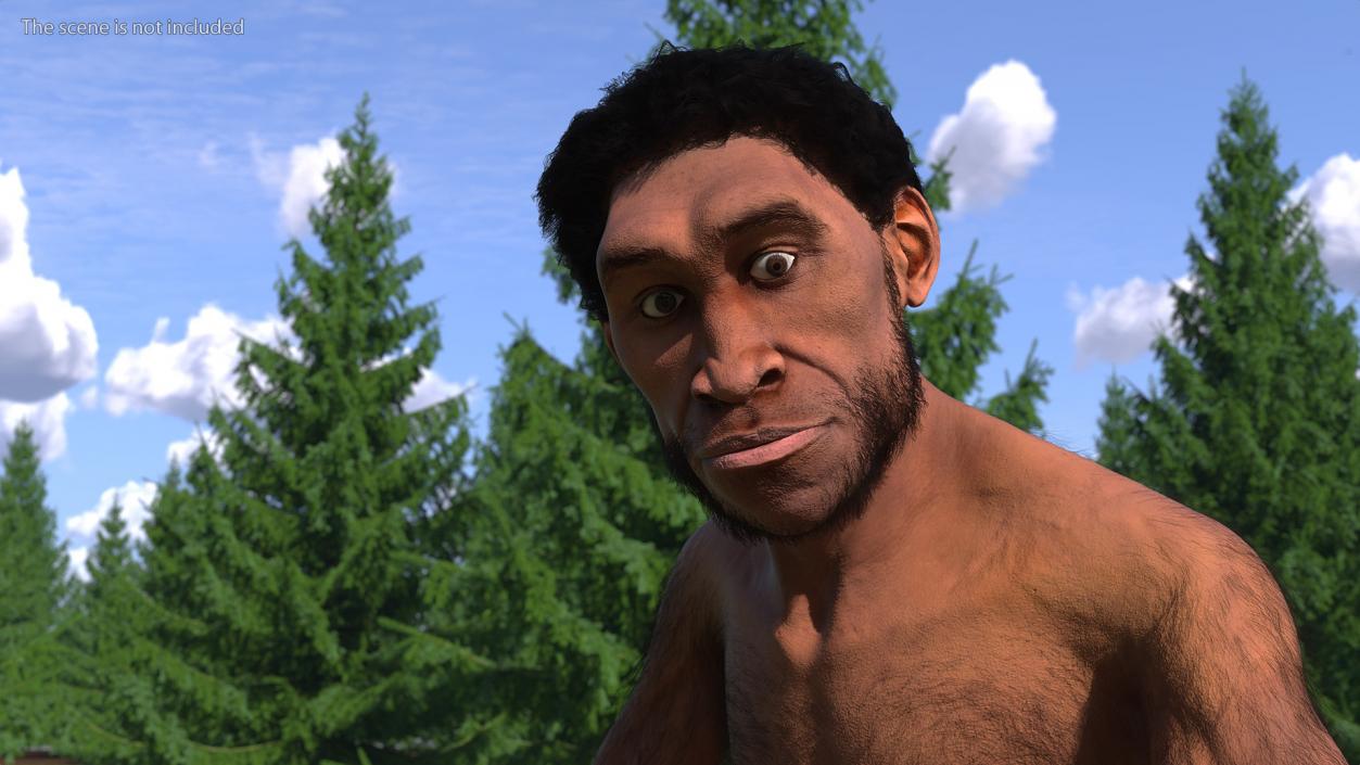 Homo Erectus by Bonfire Fur 3D