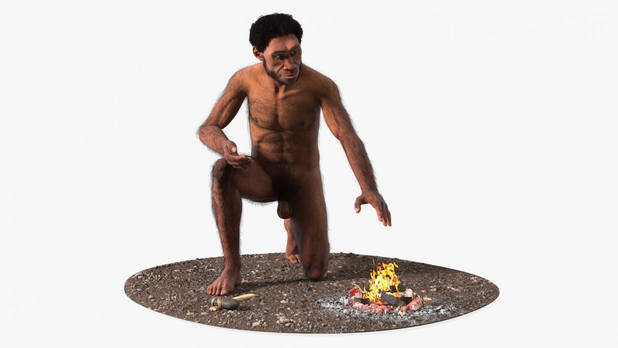 Homo Erectus by Bonfire Fur 3D