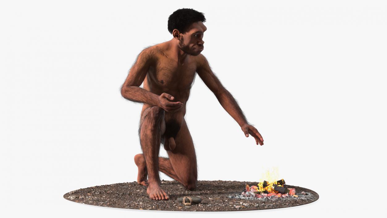 Homo Erectus by Bonfire Fur 3D