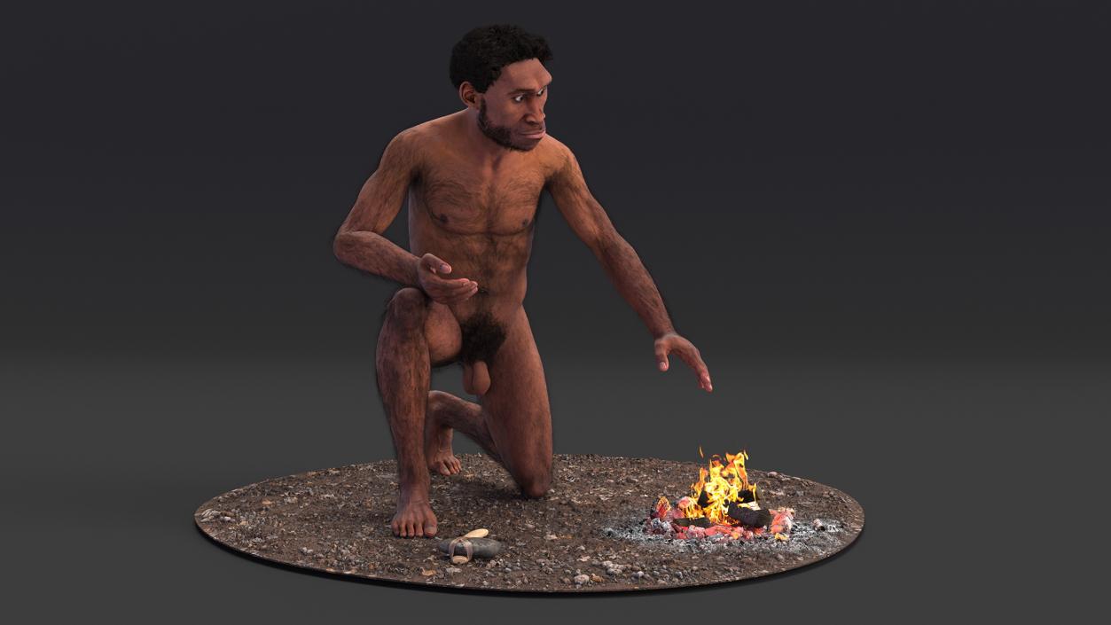 Homo Erectus by Bonfire Fur 3D