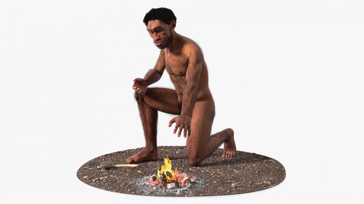 Homo Erectus by Bonfire Fur 3D