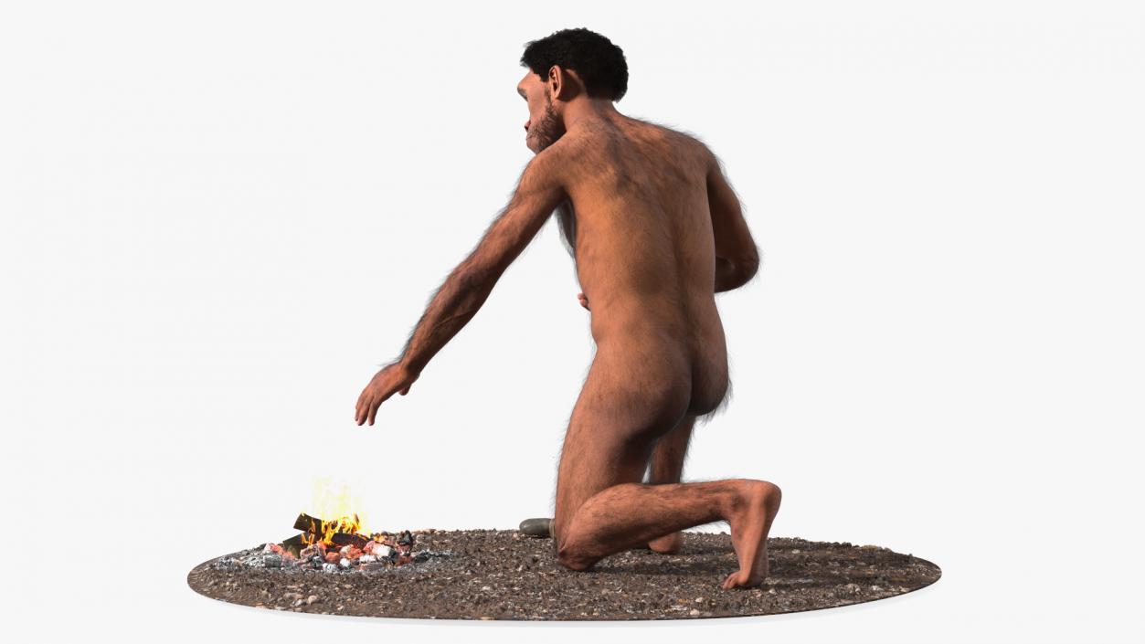 Homo Erectus by Bonfire Fur 3D