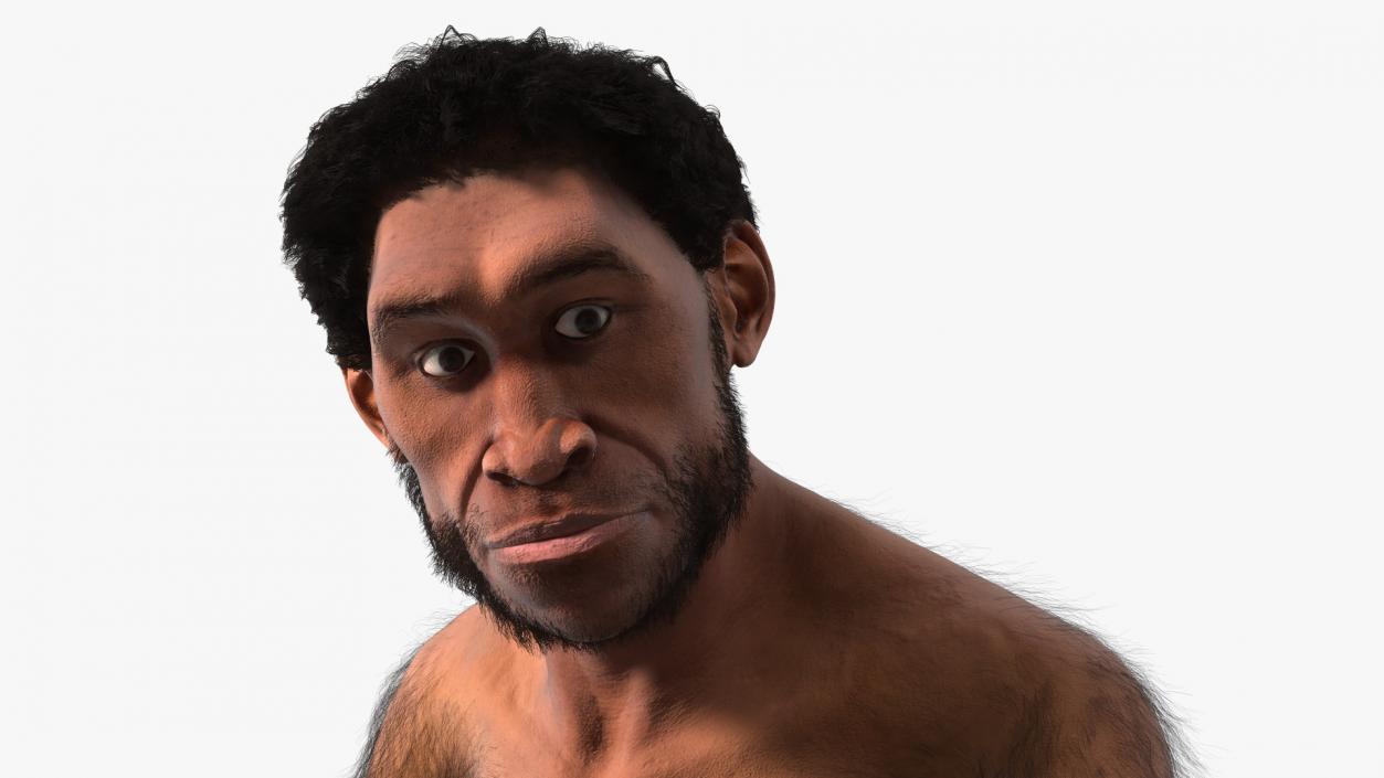 Homo Erectus by Bonfire Fur 3D