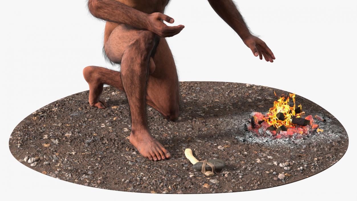 Homo Erectus by Bonfire Fur 3D