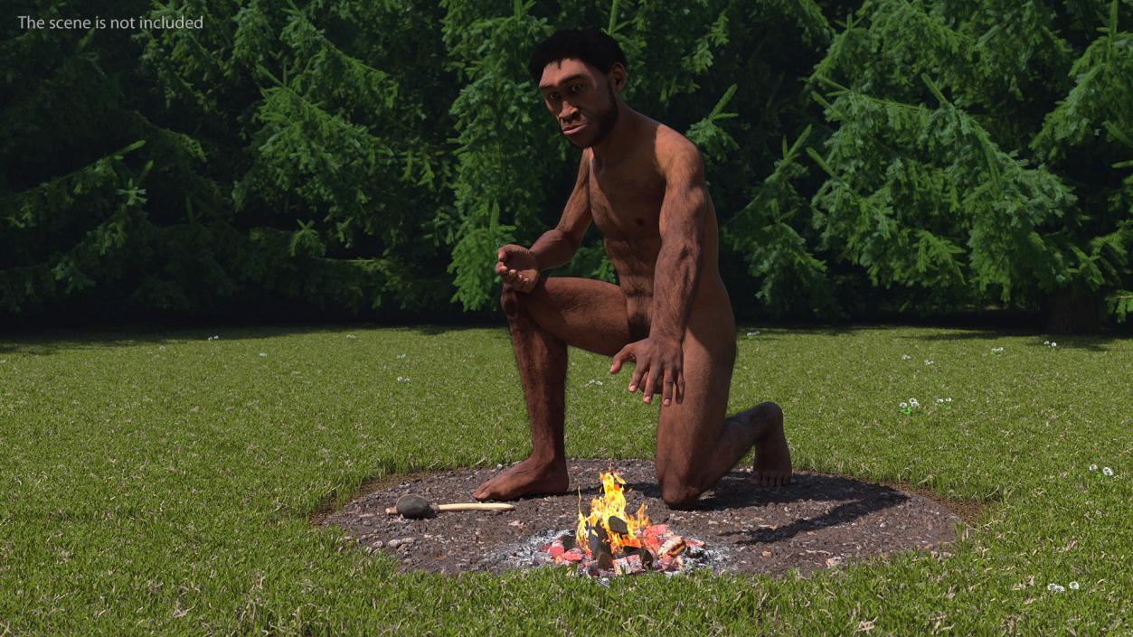 Homo Erectus by Bonfire Fur 3D