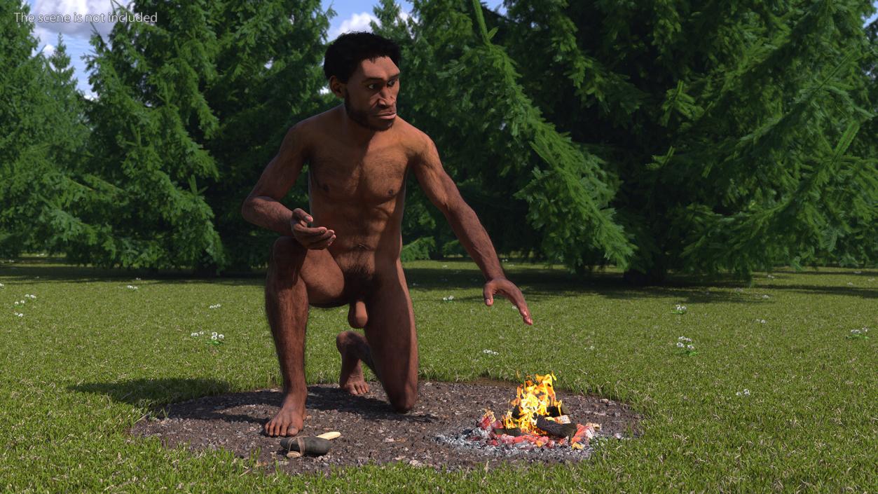 Homo Erectus by Bonfire Fur 3D