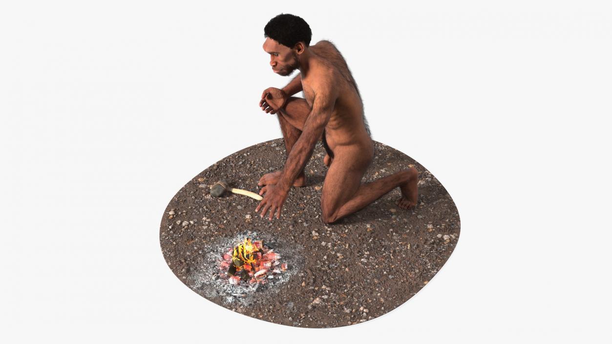 Homo Erectus by Bonfire Fur 3D