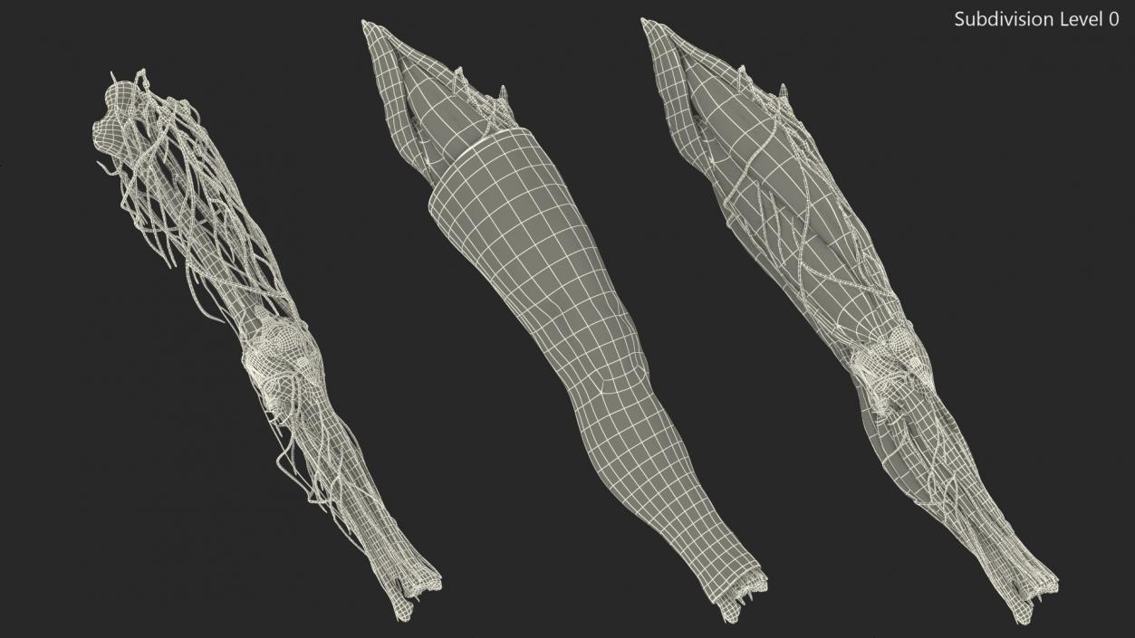 3D Knee Human Anatomy model