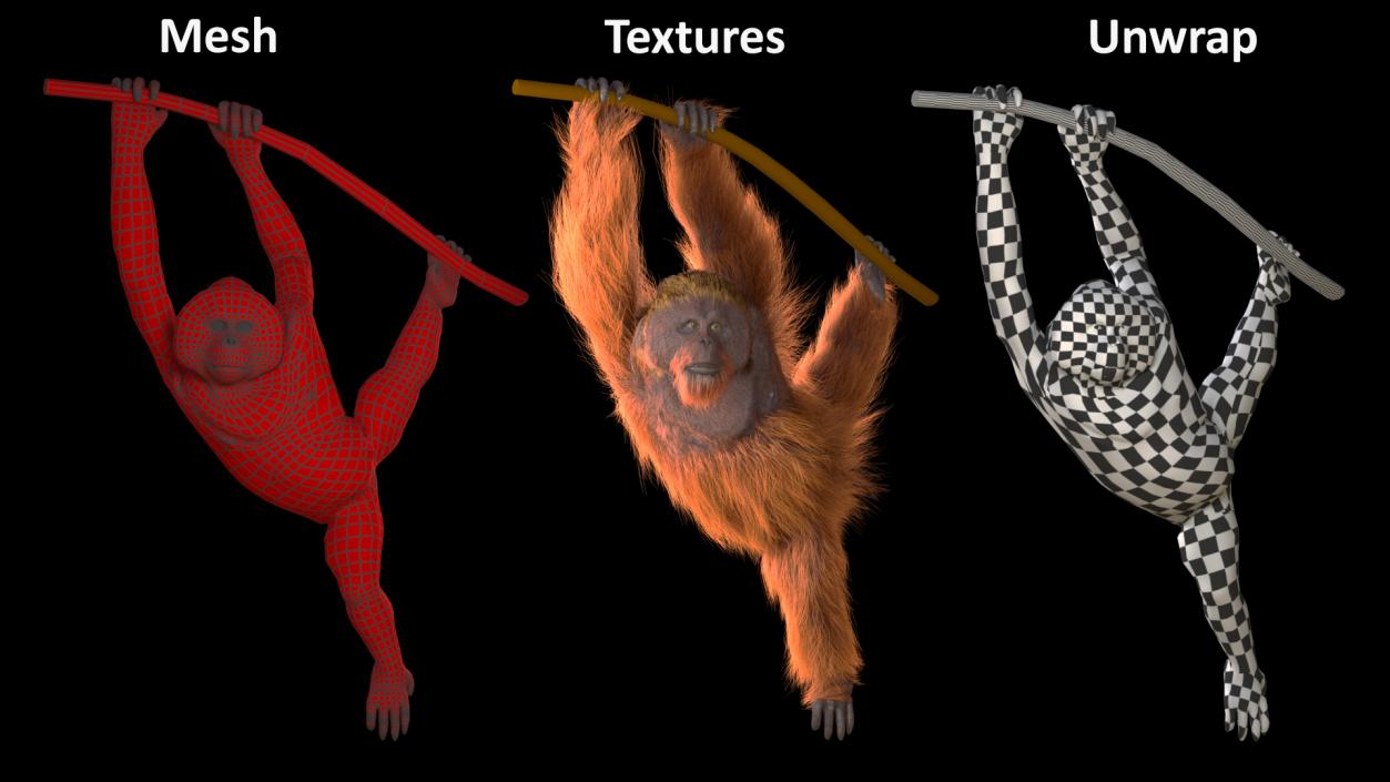 3D Orangutan Hanging on Branch Fur