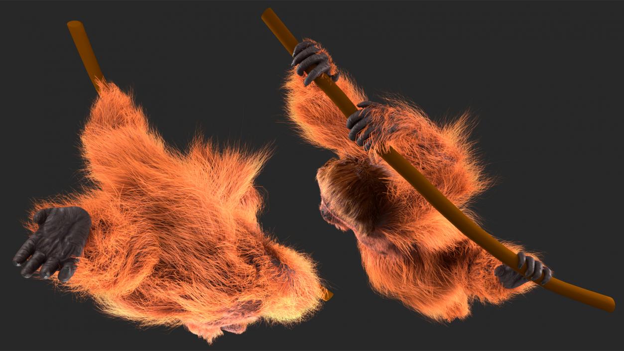 3D Orangutan Hanging on Branch Fur