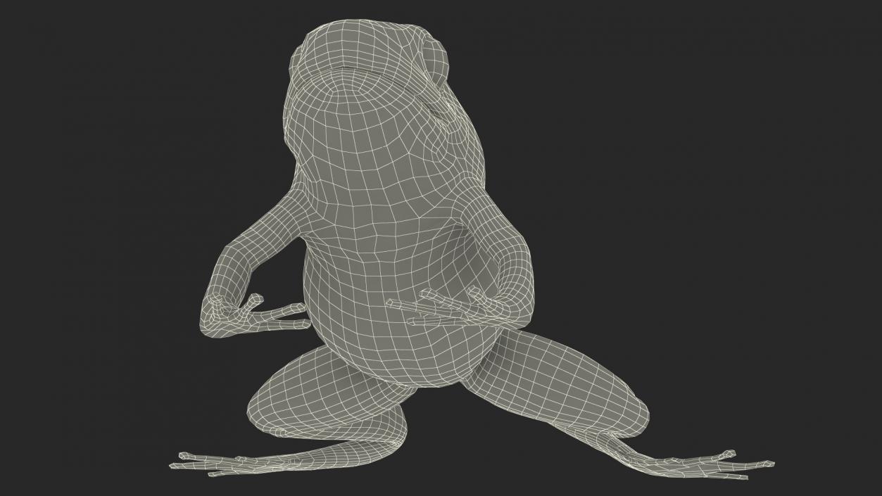 3D Golden Poison Arrow Frog Crawling Pose model