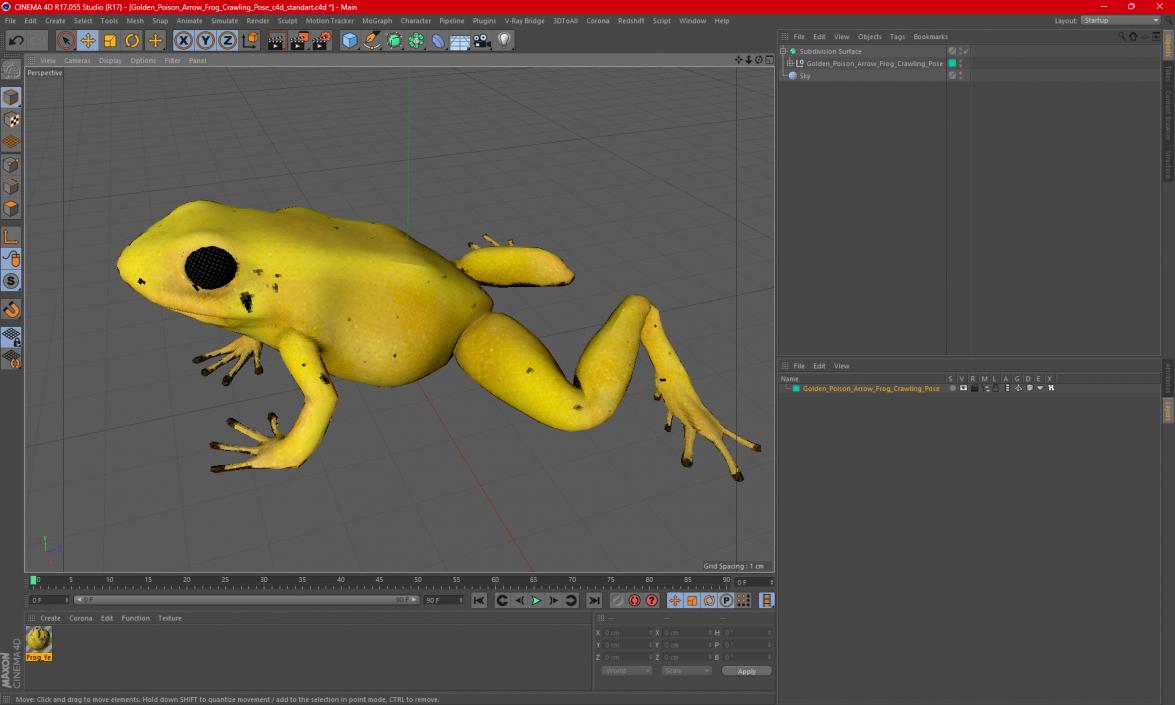 3D Golden Poison Arrow Frog Crawling Pose model