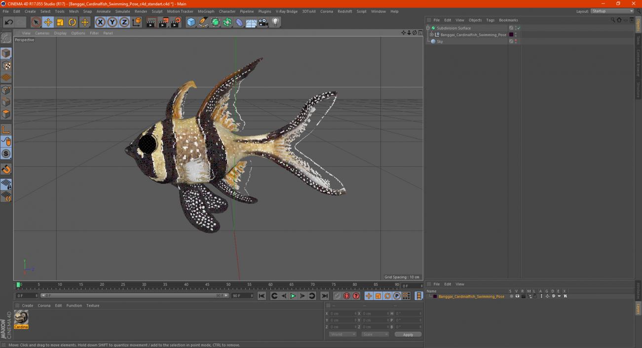 Banggai Cardinalfish Swimming Pose 3D model