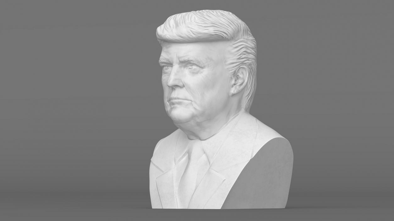 3D Plaster Bust of Trump