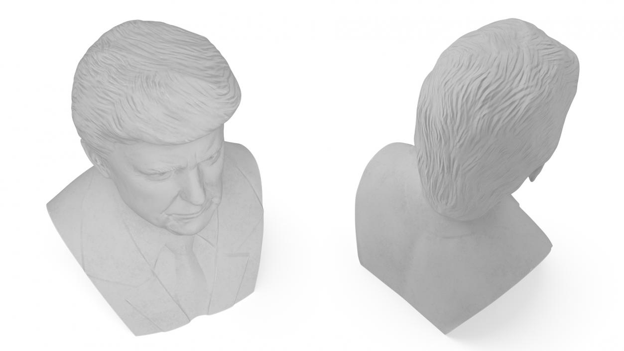 3D Plaster Bust of Trump