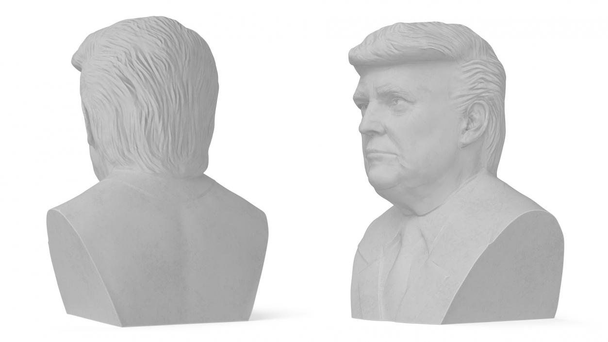 3D Plaster Bust of Trump