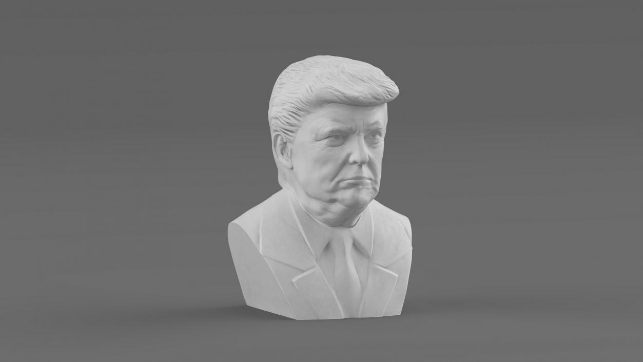 3D Plaster Bust of Trump