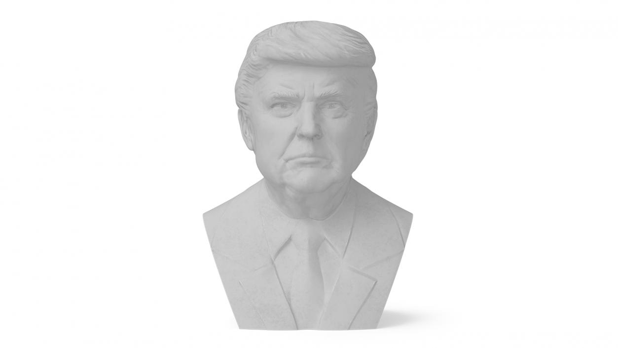 3D Plaster Bust of Trump