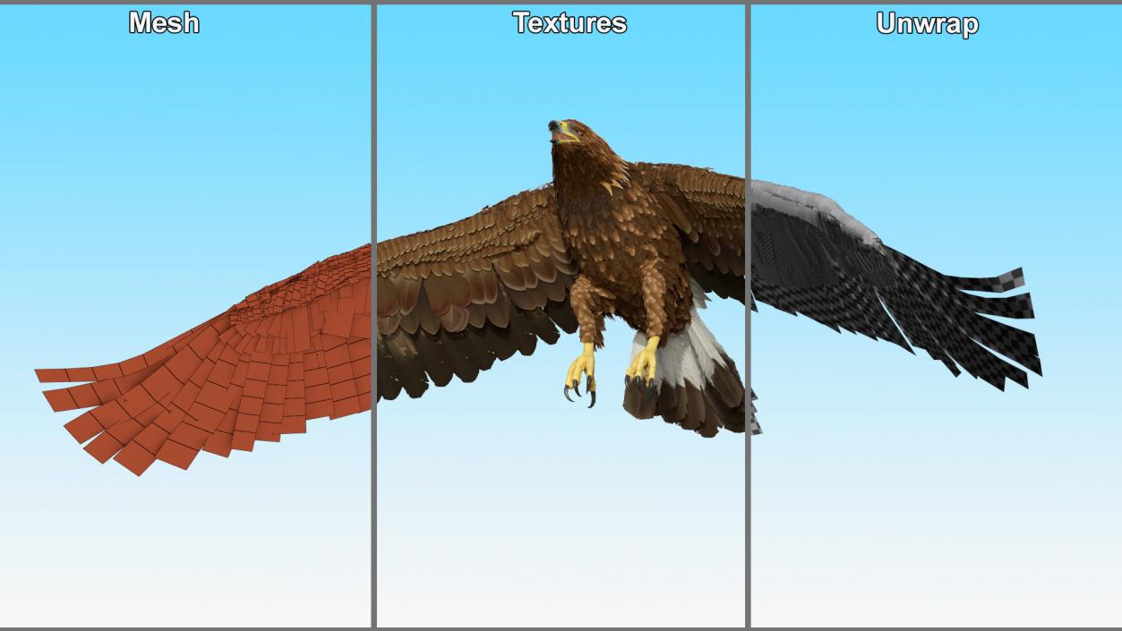 Golden Eagle Flying 3D model