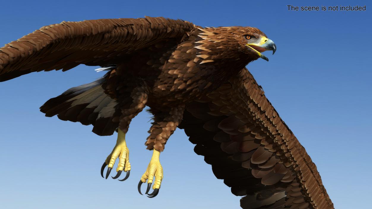 Golden Eagle Flying 3D model