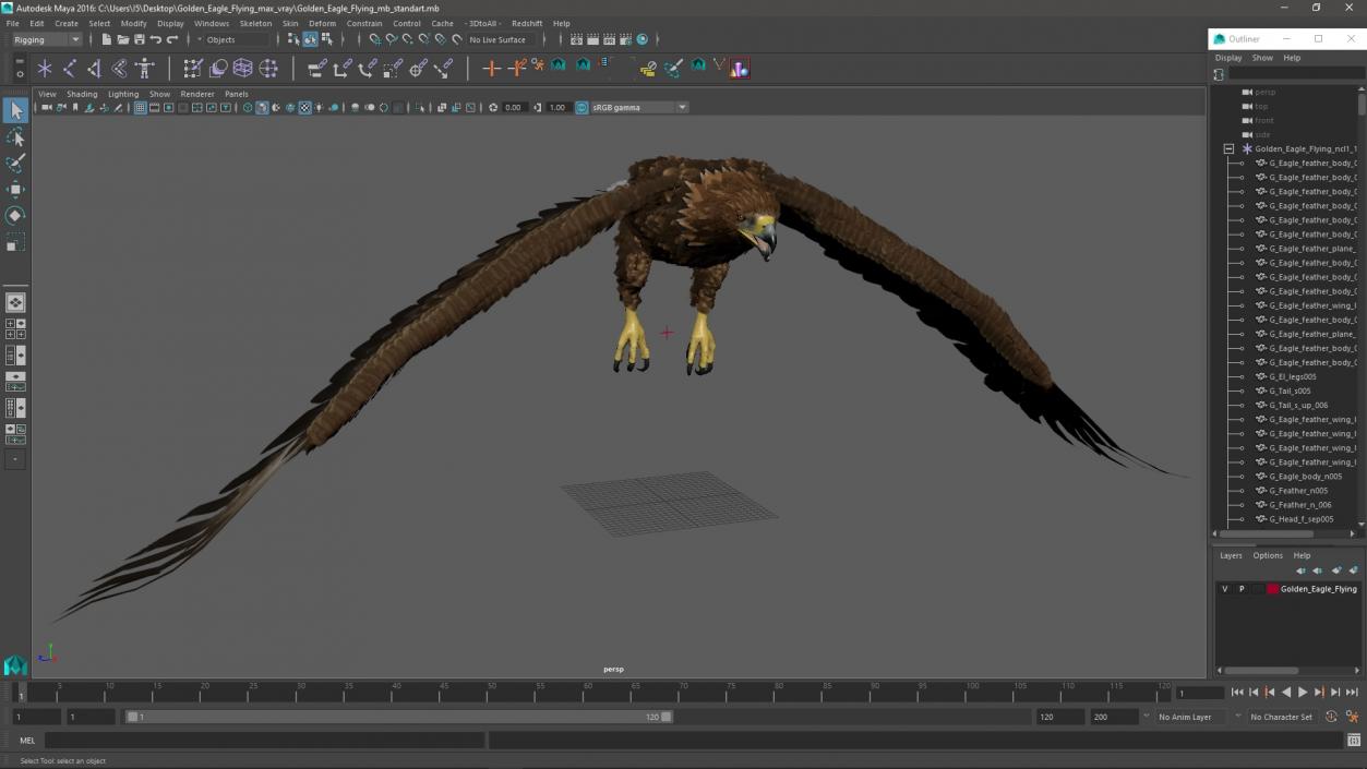 Golden Eagle Flying 3D model