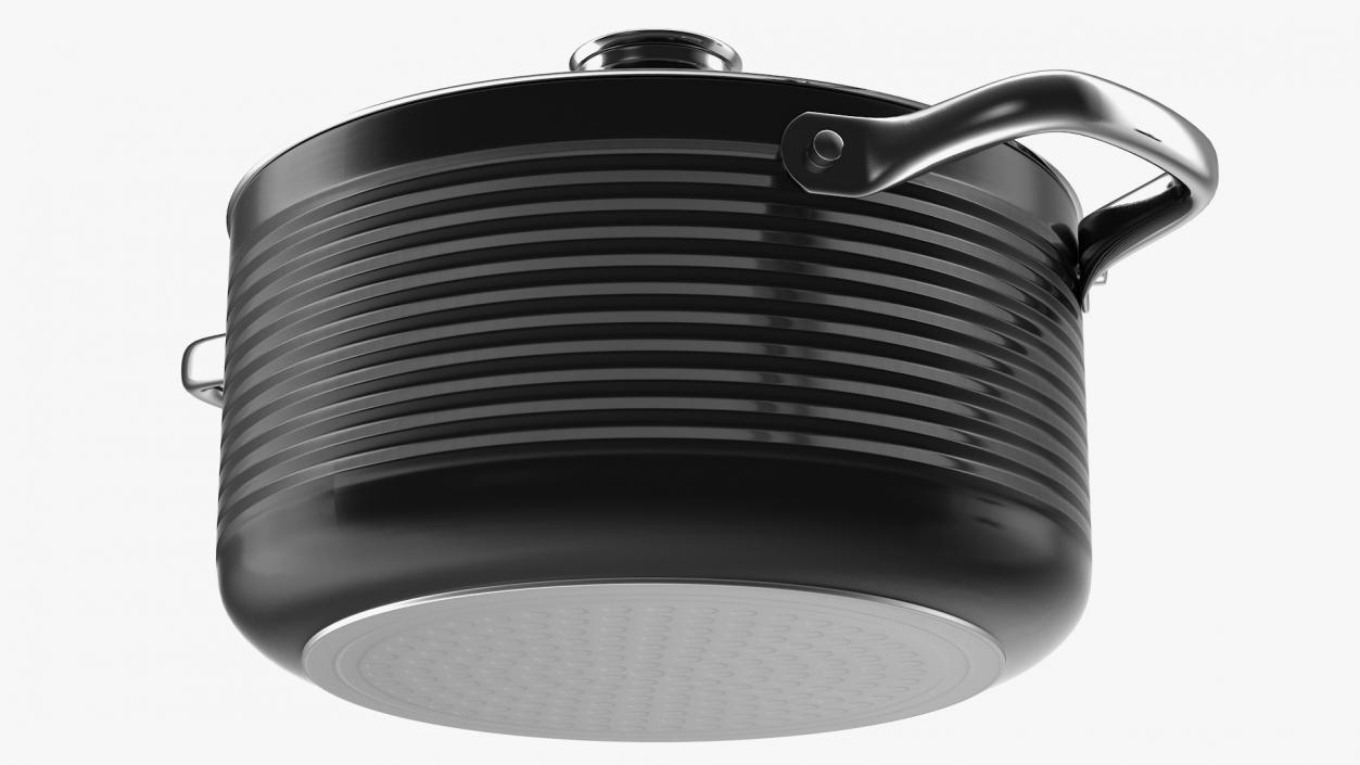 Cooking Pot with Lid Set Generic 3D