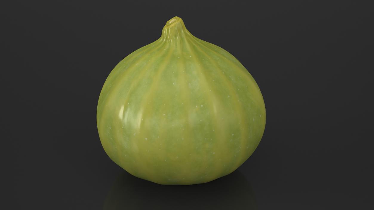 3D model Green Fig Fruit