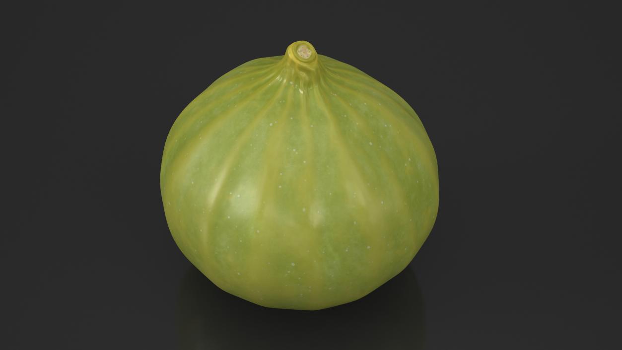 3D model Green Fig Fruit