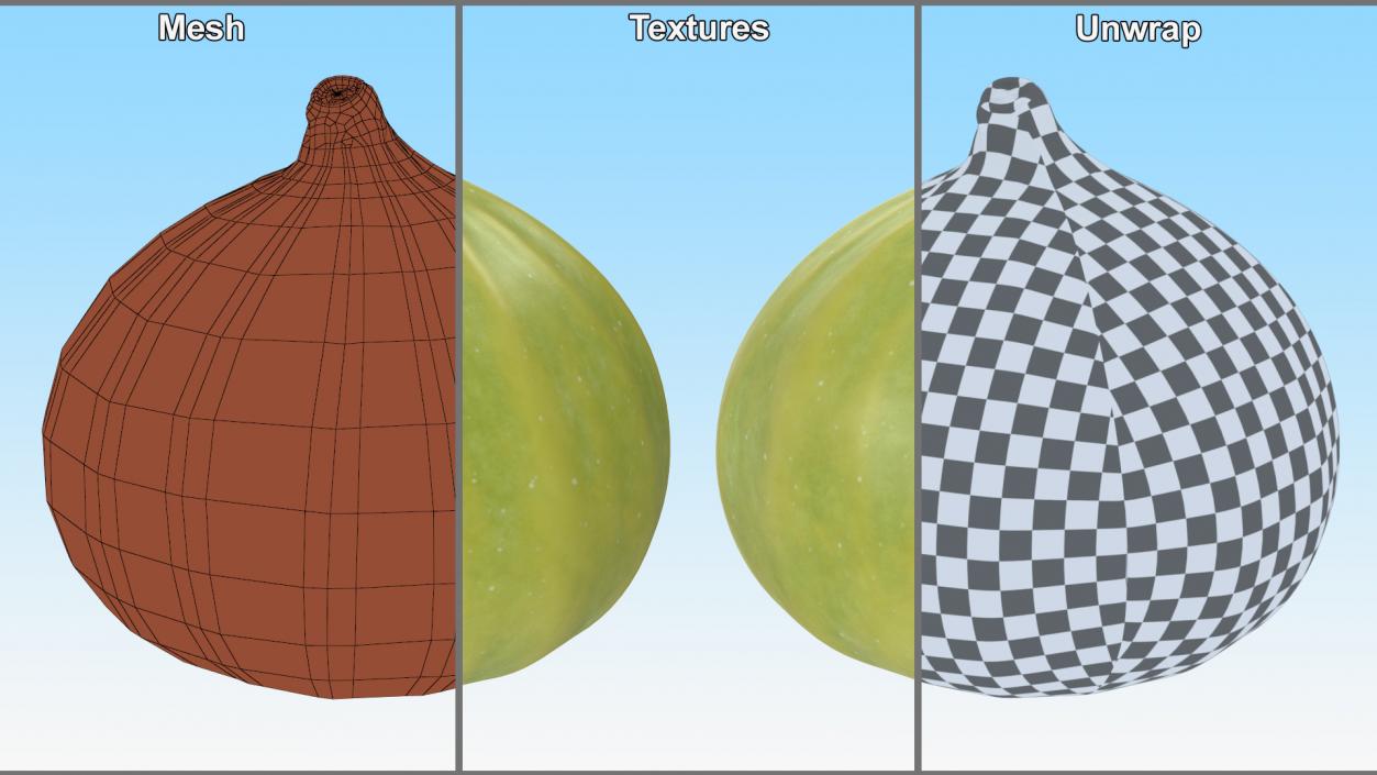 3D model Green Fig Fruit