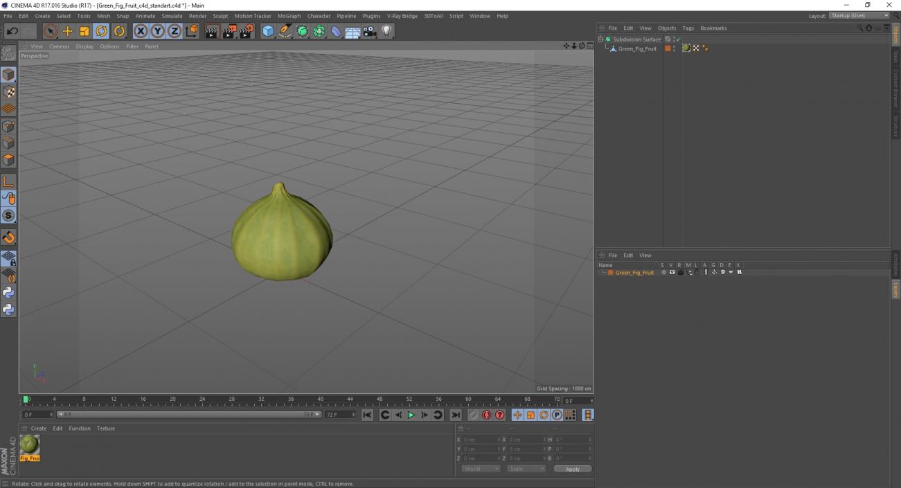 3D model Green Fig Fruit