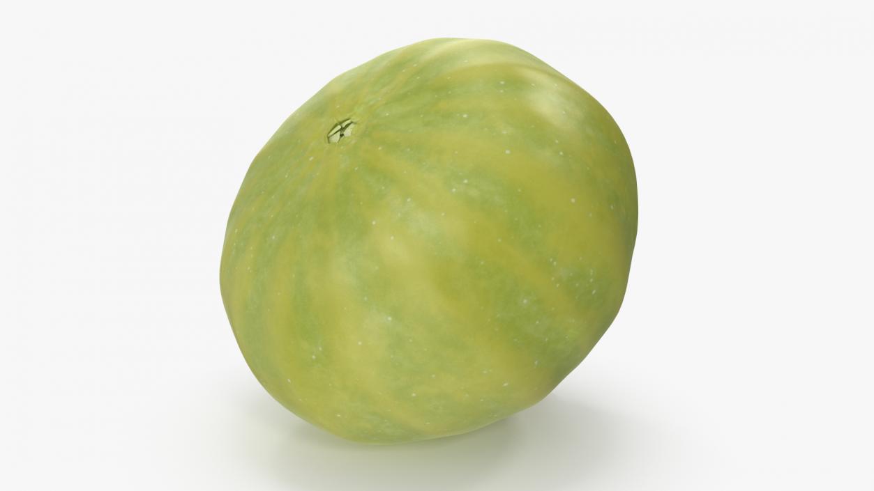 3D model Green Fig Fruit